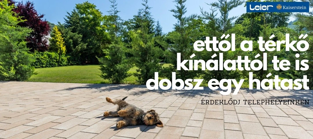 Leier térkő akció