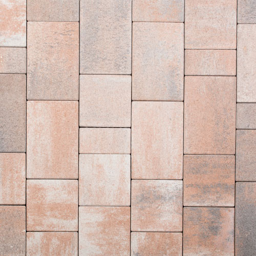 LEIER TAVERNA 6cm N+F kagylóhéj melírozott térkő