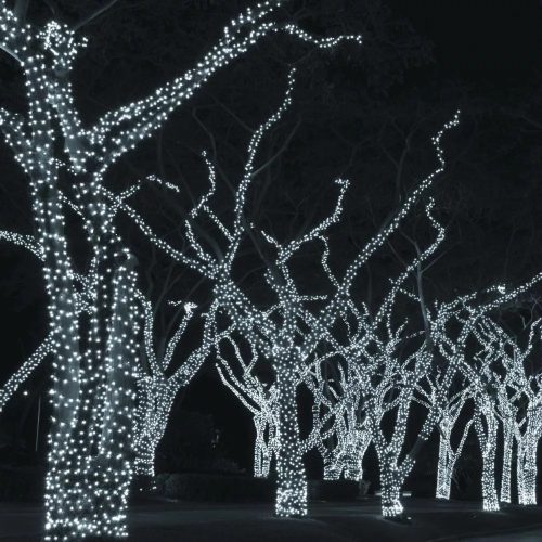 Dekortrend kültéri kontakt led jégszikrázó fényfüzér 40 db hideg fehér és 10 db villogó hideg feh