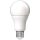 AVIDE LED Globe izzó A70 16W E27 CW 6400K