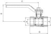 FERRO Standard golyóscsap lapátkarral  16bar  1"  BB