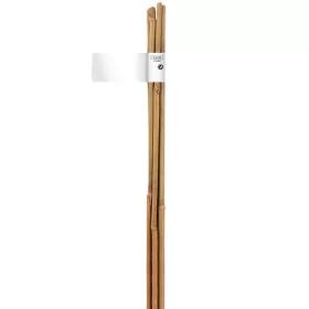   NORTENE Bamboo bambusz termesztő karó  átmérő: 10-12mm  hossz: 1,5m  2db/ktg