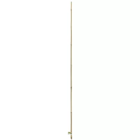   NORTENE Bamboo bambusz termesztő karó  átmérő: 12-14mm  hossz: 1,8m