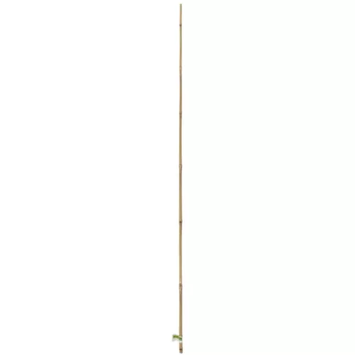 NORTENE Bamboo bambusz termesztő karó  átmérő: 12-14mm  hossz: 1,8m