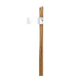   NORTENE Bamboo bambusz termesztő karó  átmérő: 16-18mm  hossz: 2,1m