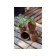 NORTENE Growing Pots tőzegcserép 8cm natúr 18db/csom