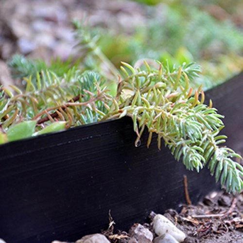 NORTENE Selfix Bordura újrahasznosított gumi ágyásszegély  0,13*5m  fekete