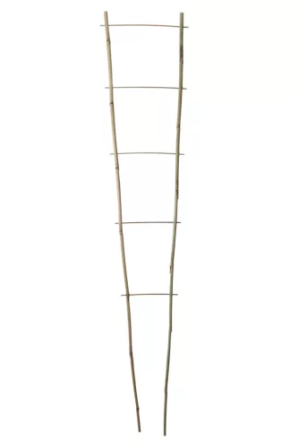 NORTENE Echelle Bamboo növénylétra  60*20cm