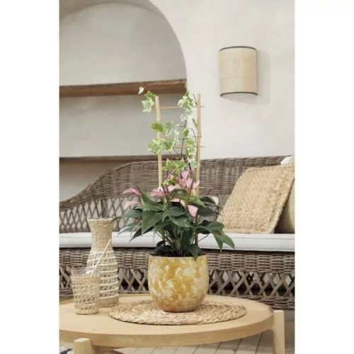 NORTENE Echelle Bamboo növénylétra  60*20cm