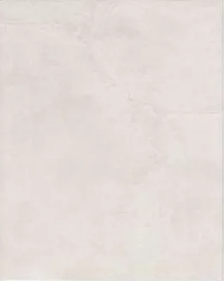 TISZA 1 falicsempe ZBE722 bézs    20*25cm  MS minőség  1,5m2/doboz