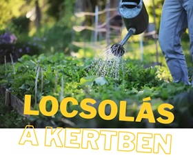 Miért locsolsz még rosszul? – 5 hiba, ami tönkreteszi a kerted